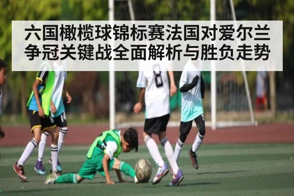 六国橄榄球锦标赛法国对爱尔兰争冠关键战全面解析与胜负走势